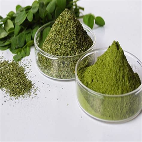 Green Caviar Powder Manufacturers and Suppliers from Chennai