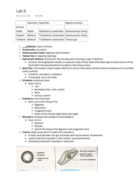 Image result for Bio Lab Cod 6