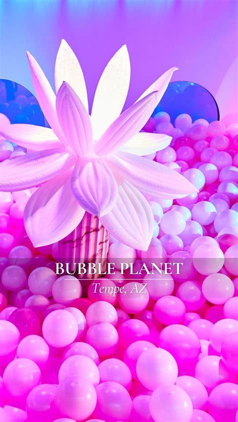 Three Thirty Three Tempe Restaurant - Fabulous Arizona