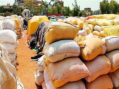 सरकारने आतापर्यंत 86,243 कोटी रुपयांचे धान MSP दराने खरेदी केले