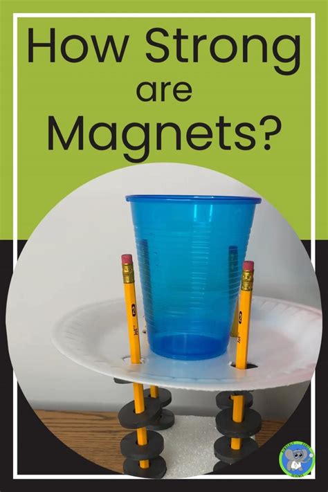 Image result for Fourth Grade Science Project