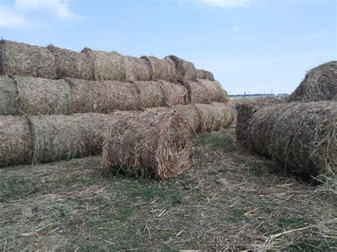 В сёлах на севере Казахстана биокотлы на соломе отапливают дома и ...