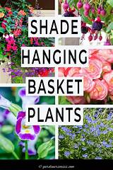 Best Hanging Basket Plants Shade at Kristina Hertz blog