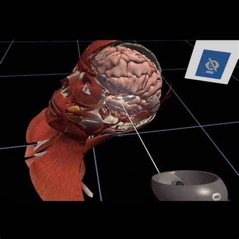 Image result for Virtual Reality Body Systems