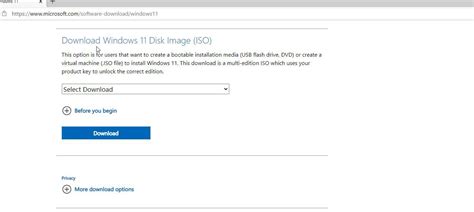 Image result for Windows 11 ISO Install