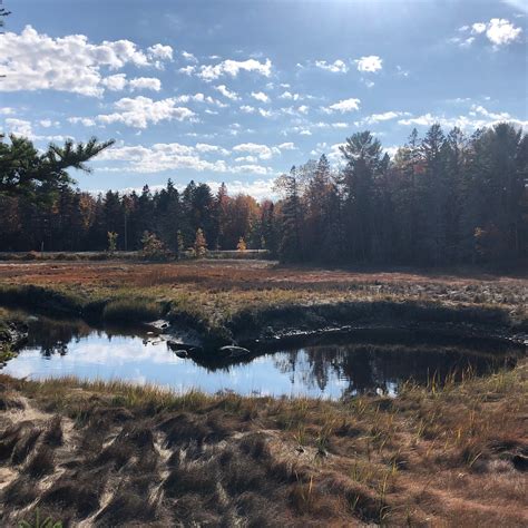OCEANARIUM AND EDUCATION CENTER (Bar Harbor): Ce qu'il faut savoir