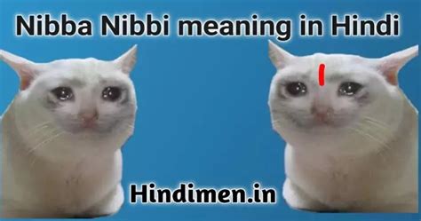 Chapri Nibba Nibba meaning in hindi । निब्बा निब्बी मीम्स शायरी जोक्स