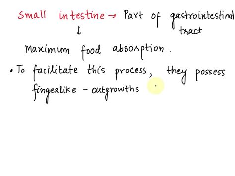 Image result for Small Intestine Lymph Nodes