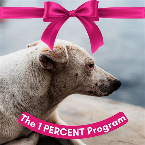 1 PERCENT Program – Kyoot Kosmetics