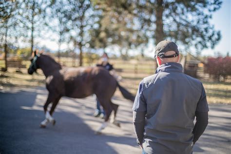 Black Diamond Equine Veterinary Clinic