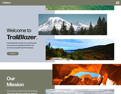 Image result for Subscription Page