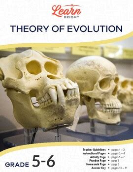 Image result for Evolution Lesson Videos