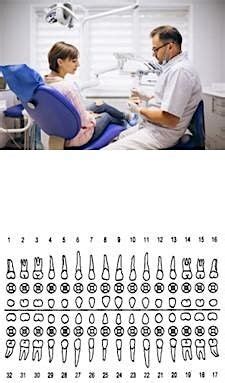 Insurance Coding: All The Things You Need To Know, The Potpourri House ...