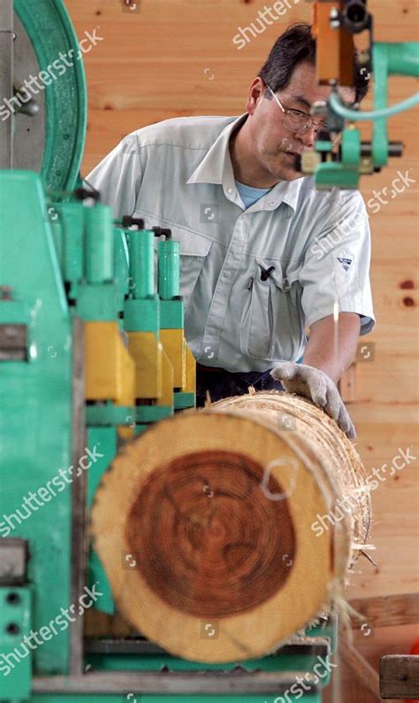 Image result for Lumbering Process