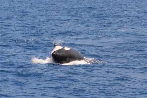 Eindrücke von Maaike Schoo