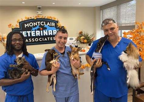 Montclair Veterinary Associates Opens on Park Street - Montclair Girl