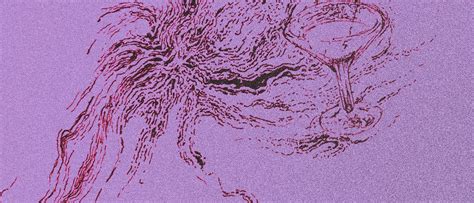 Brooders + Rubber Rose @ Hyde Park Book Club, Leeds, 27 July 2023 ...