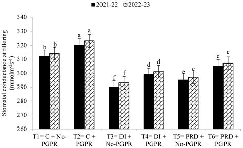 Effect of Co-Application of Azospirillum brasilense and Rhizobium pisi ...