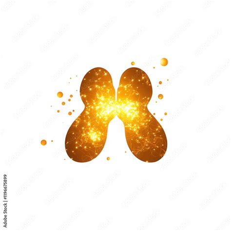 Image result for Endocrine System Transparent Background