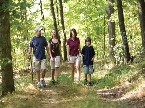 Vienna Tourism (2024): All You Need to Know Before You Go