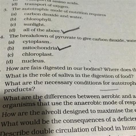 What is the role of saliva in the digestion of food - Brainly.in
