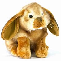 Image result for White Stuff Bunny