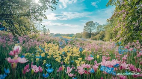 When Does Spring Start 的图像结果