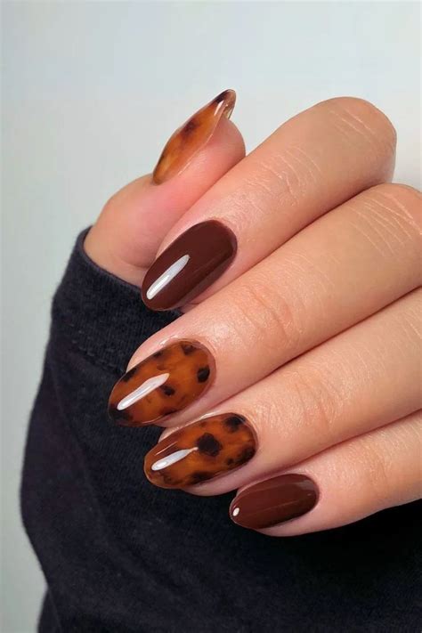 Image result for Tortoise Shell Manicure