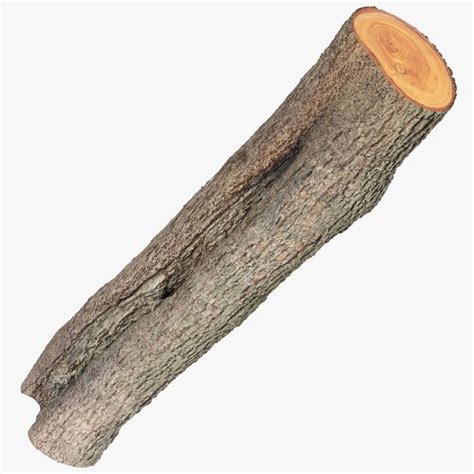 Image result for 3D Log