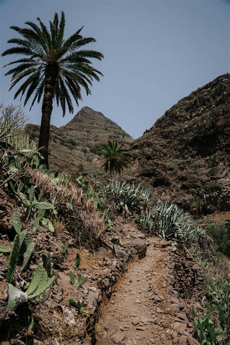 Guro Photos, Download The BEST Free Guro Stock Photos & HD Images - guro marc halleck dvds download