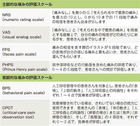 Image result for iOS App Development Code