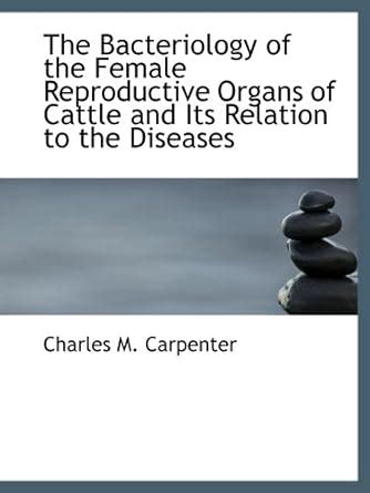 The Bacteriology of the Female Reproductive Organs of Cattle and Its ...