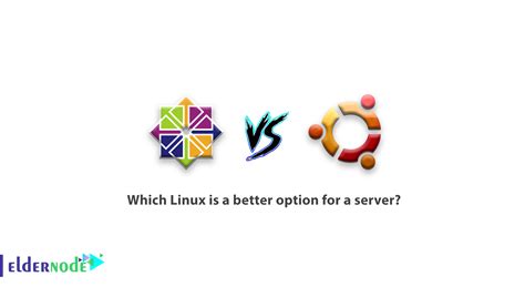 Option Linux 的图像结果