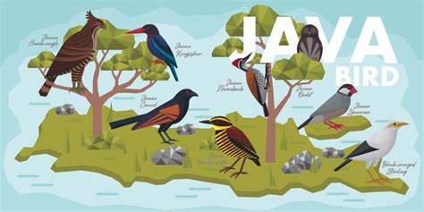 Image result for Java Vector Stock Images