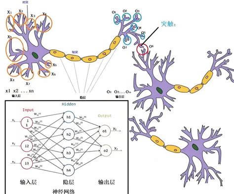 神经网络 的图像结果