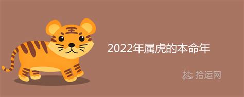 属虎人一生最旺3个人 - 属虎人2022年全年运势 - 属虎2022年谁都躲不过的劫难