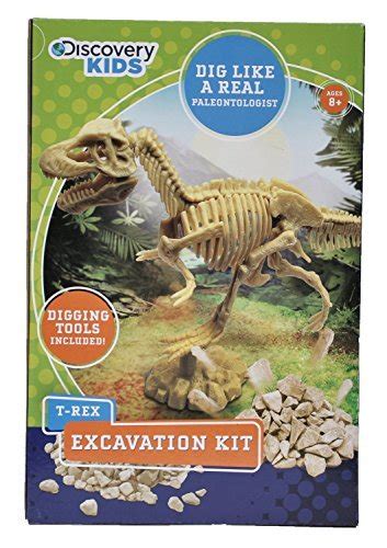 Buy Discovery Kids Dinosaur Excavation Kit (T-REX) Fossil Model s ...