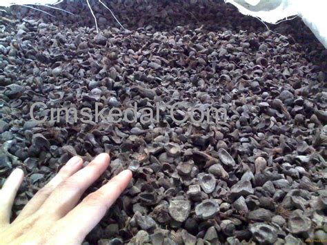 Palm Kernel Shell,Indonesia price supplier - 21food