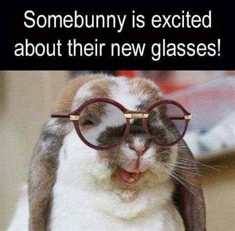Image result for Optometry Eye Humor Jokes