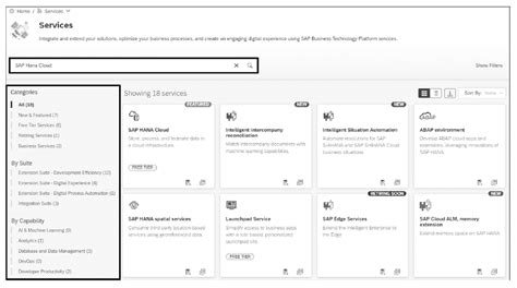 SAP BTP Development 的图像结果