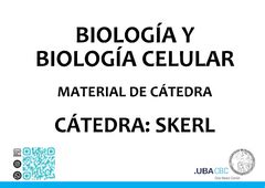 Image result for Vector Database Visualization