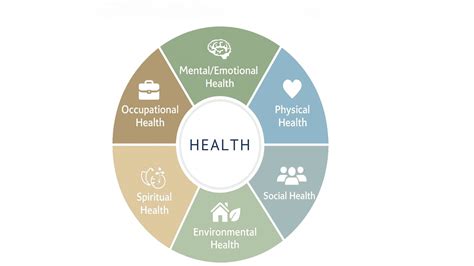 How the Components of Health Are Related to Wellness - Lotus Yoga Dallas