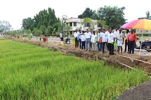 ICAR-NRRI celebrates its Foundation Day and Dhan Diwas | ICAR