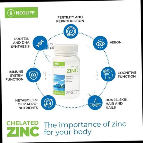 Zinc Protein Synthesis at Nicholas Packard blog