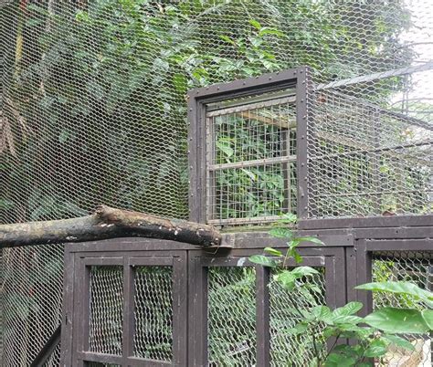 ZooLex Image - Elevated raceway to night dens