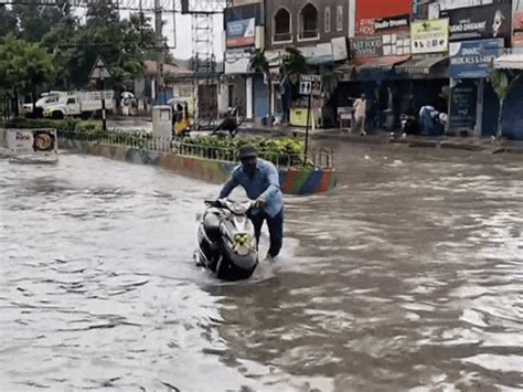 Schools, colleges shut as heavy rains lash Tamil Nadu, Kerala | Bhaskar ...