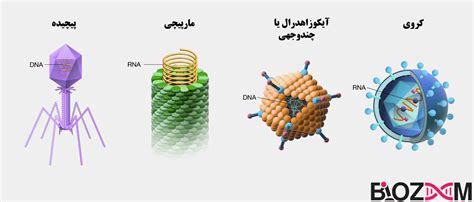 Image result for Computer Class 4 Matching