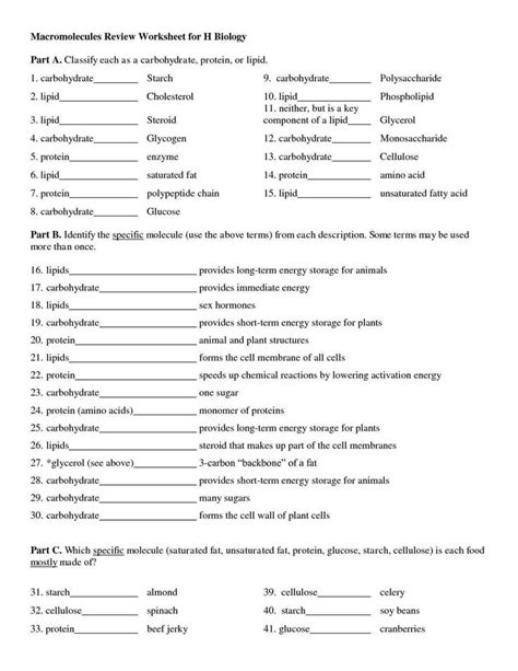Image result for DNA Fingerprinting Worksheet Back Answer Key