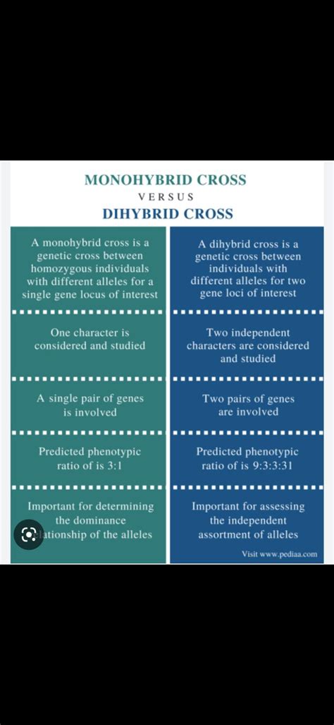 Monohybrid Cross And Dihybrid Cross Difference Between Monohybrid