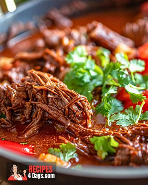 Mexican Shredded Beef